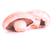 Panificio Rana - San Giovanni Lupatoto Verona