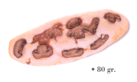 Panificio Rana - San Giovanni Lupatoto Verona